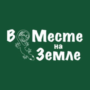Статистика Дзен В•Месте на Земле | Экографика