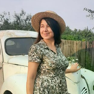 Статистика Дзен Людмила Дмитриева