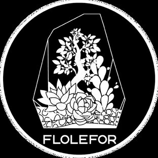 Статистика Дзен Флорариумы-Flolefor 