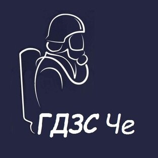 Статистика Дзен ГДЗС Че