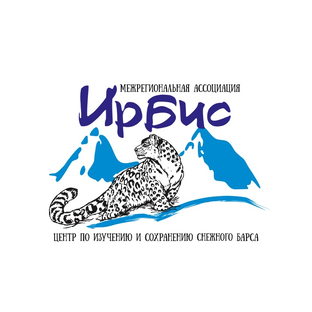 Статистика Дзен Друзья снежного барса