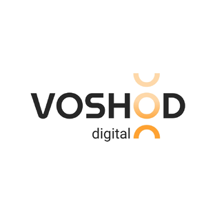 Статистика Дзен VOSHOD DIGITAL