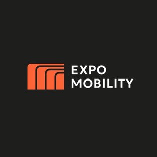 Статистика Дзен ExpoMobility