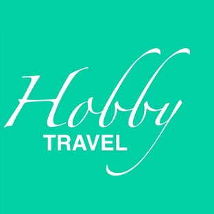 Статистика Дзен hobby.travel
