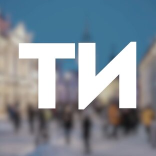 Статистика Дзен Тульские известия