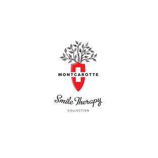 Статистика Дзен MontCarotte