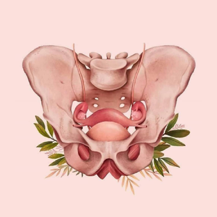Статистика Дзен PELVIC CLUB