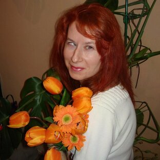 Статистика Дзен Светлана Николаичева