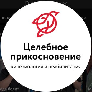 Статистика Дзен Целебное Прикосновение