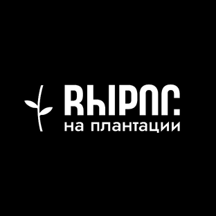 Дзен Вырос на плантации статистика