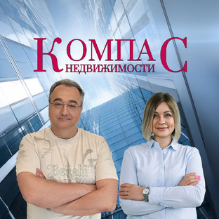 Статистика Дзен Компас Недвижимости