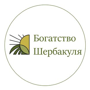 Статистика Дзен Богатство Шербакуля