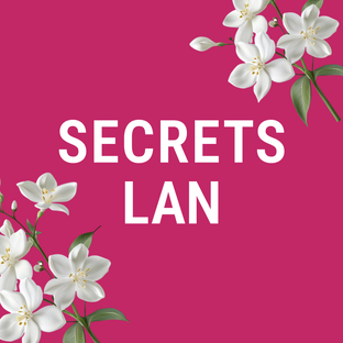 Статистика Дзен Secrets Lan