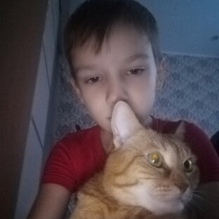 Статистика Дзен Котя