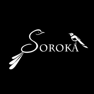 Статистика Дзен Soroka biju