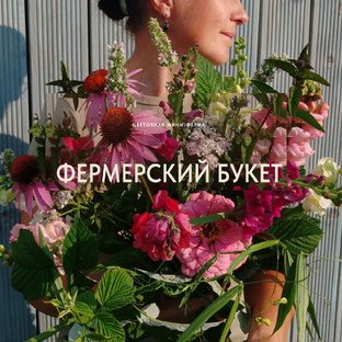 Статистика Дзен Фермерский букет | Цветочная мини-ферма (СПб)