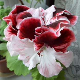 Дзен Дневник простой русской женщины из старинного городка статистика