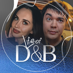 Статистика Дзен Life of D&B