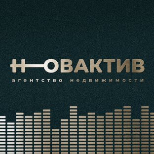 Статистика Дзен НОВАКТИВ. Агентство недвижимости. 