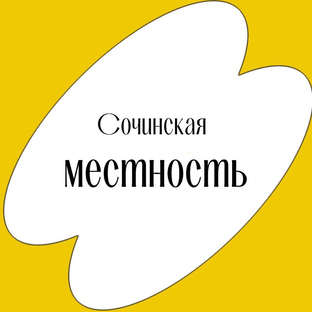 Статистика Дзен Сочинская местность