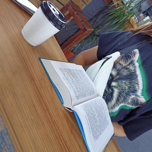 Статистика Дзен Мой мир - мои тайны