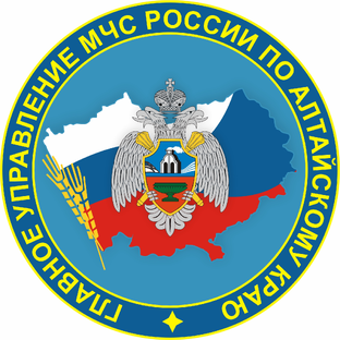 Статистика Дзен МЧС Алтайского края
