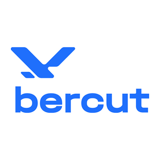 Статистика Дзен BercutTech