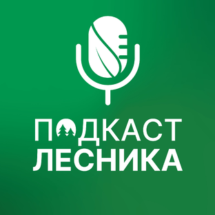 Статистика Дзен Подкаст лесника