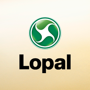 Статистика Дзен Lopal