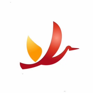 Статистика Дзен Pro Spain Consulting