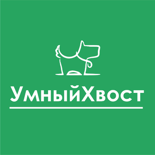 Статистика Дзен УмныйХвост