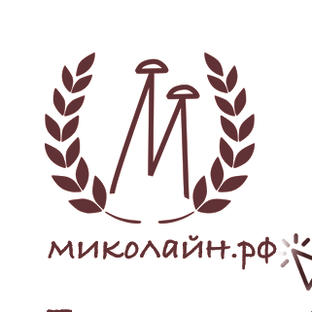 Статистика Дзен Миколайн: нутрицевтики из грибов