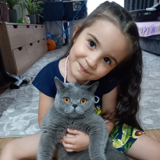 Статистика Дзен Маленькая банда
