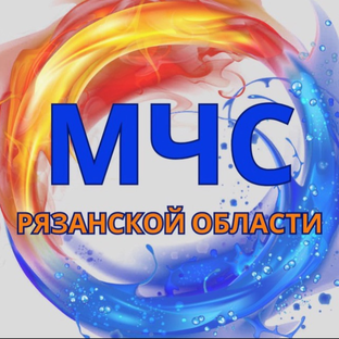Статистика Дзен МЧС Рязанской области