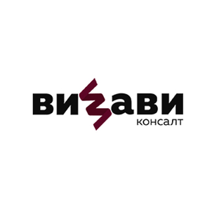 Статистика Дзен ВИЗАВИ Консалт