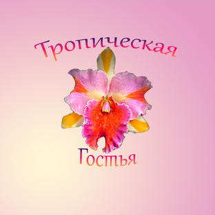 Логотип канала Тропическая гостья
