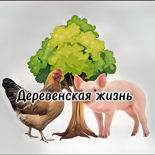 Статистика Дзен Деревенская Жизнь 