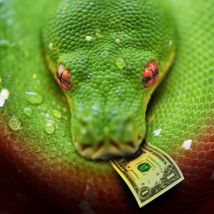 Статистика Дзен Money Python