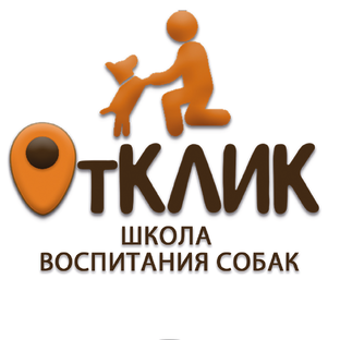 Статистика Дзен ОтКлик! Школа воспитания собак