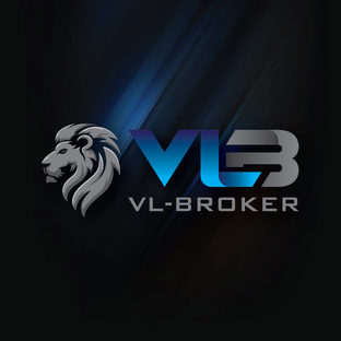 Статистика Дзен Таможенный представитель VL-BROKER | VLB брокер