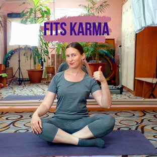 Статистика Дзен Fits Karma