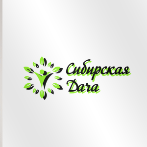 Статистика Дзен Сибирская Дача