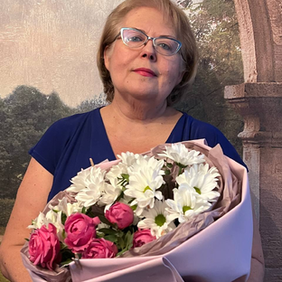 Статистика Дзен Лапки в саду 