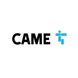 Статистика Дзен CAME Россия