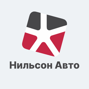 Статистика Дзен Нильсон Авто