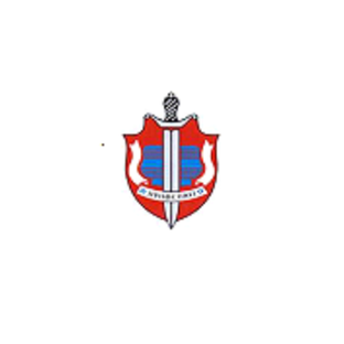 Статистика Дзен Профсоюз полиции - гражданам prof.moscow.police