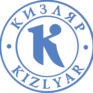 Статистика Дзен ООО ПП Кизляр