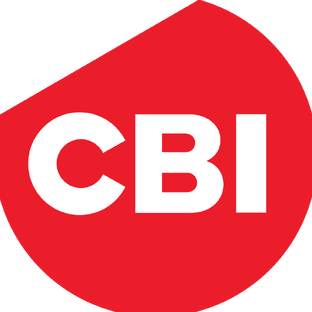 Статистика Дзен CBI Pioneer