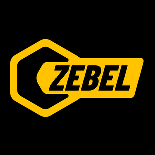 Статистика Дзен Zebel