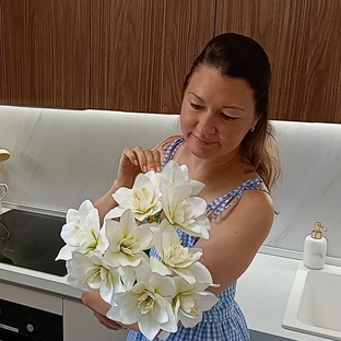 Статистика Дзен Эстетика домашних будней
